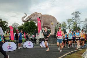 BIB: 
                            <button type="button" onclick="openModal(26528309)" class="btn btn-primary btn-sm float-right btn-popup" data-toggle="modal" data-target=".modal-high-quality">
                        <i class="fas fa-shopping-cart"></i> Add to Cart
                    </button>
                                            <button type="button" onclick="isThisMe(26528309, true)" class="btn btn-success btn-sm float-right btn-popup btn-isme hidden" data-toggle="tooltip" data-placement="bottom" title="นี่คือรูปของคุณใช่ไหม คลิกที่นี่เพื่อเอาเข้าอัลบั้ม">
                        <i class="fas fa-plus"></i> Add to album
                    </button>
                    <button type="button" onclick="isThisMe(26528309, false)" class="btn btn-warning btn-sm float-right btn-popup btn-isnotme hidden">
                        <i class="fas fa-ban"></i> Remove from album
                    </button>